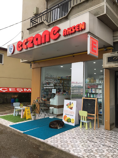 Ahsen Eczanesi, MERKEZ GİRESUN